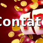 nk6 - Contato e Suporte Oficial nk6 - Contato e Suporte Oficial